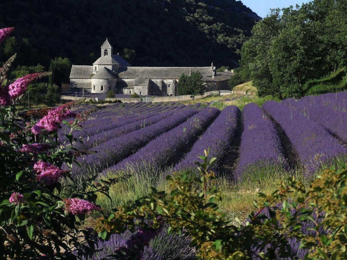 Les Cerises Bed & Breakfast Saint-Saturnin-d'Apt Ngoại thất bức ảnh