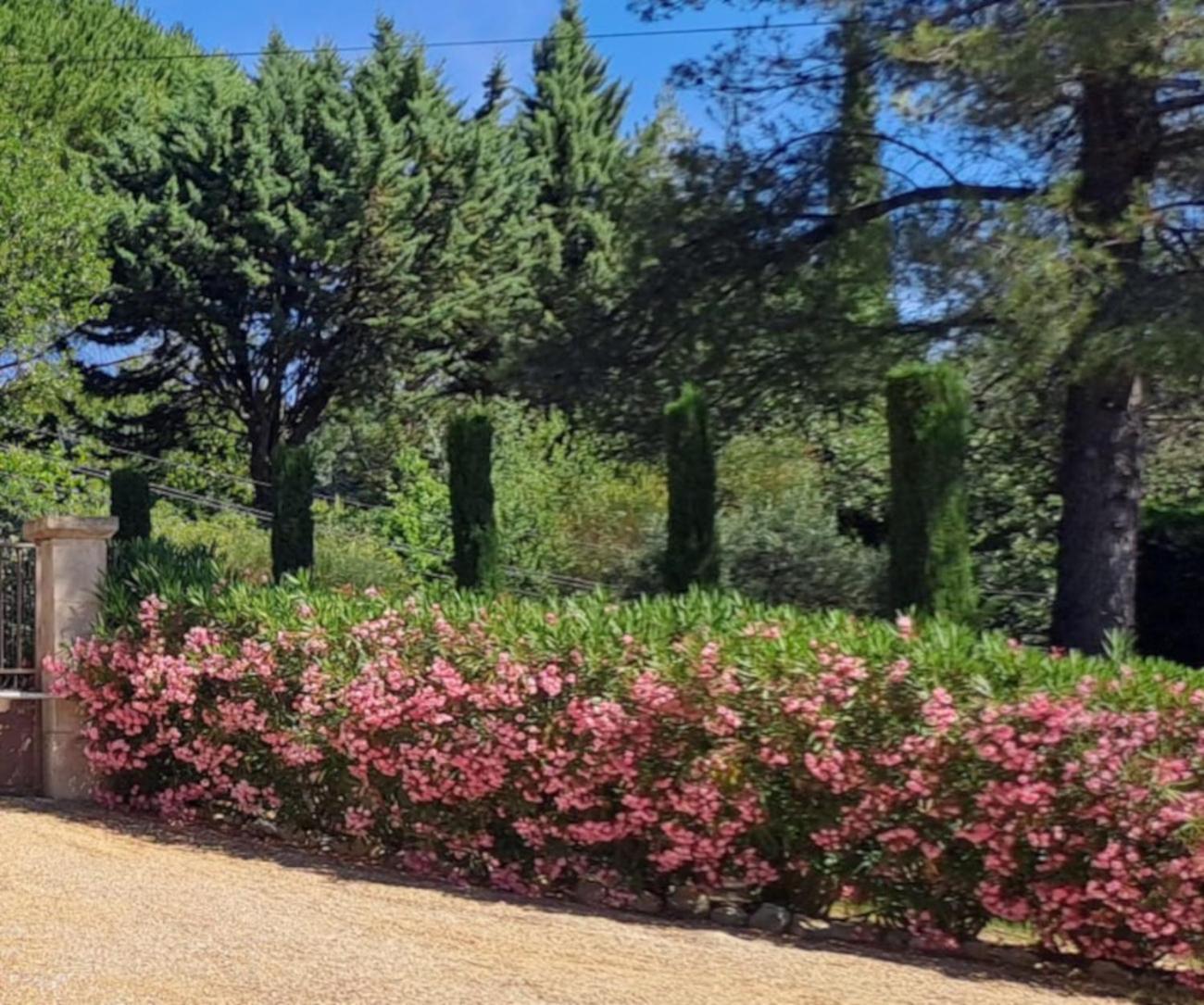 Les Cerises Bed & Breakfast Saint-Saturnin-d'Apt Ngoại thất bức ảnh